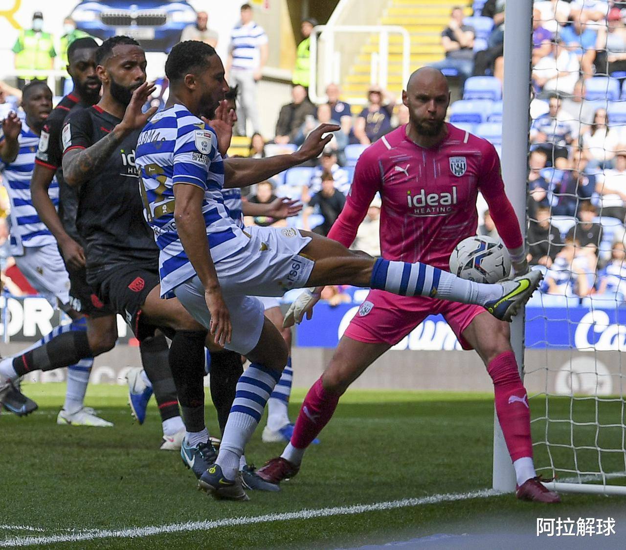 乐鱼体育-多特蒙德31弗赖堡